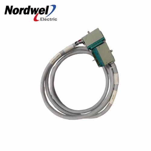 Triconex 4000094-310 Input Terminal Cable
