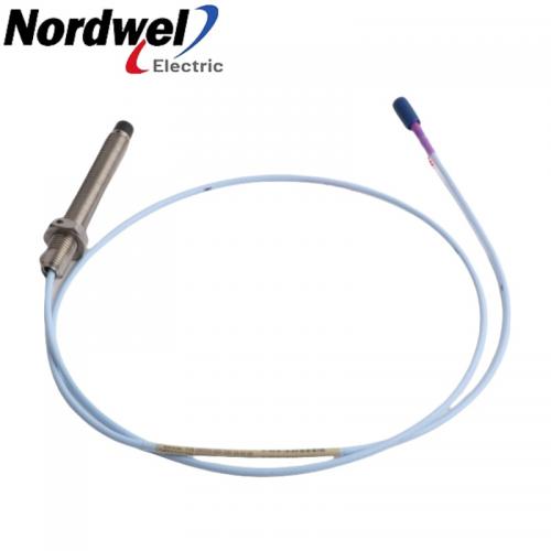 Bently Nevada 330703-000-100-10-02-05